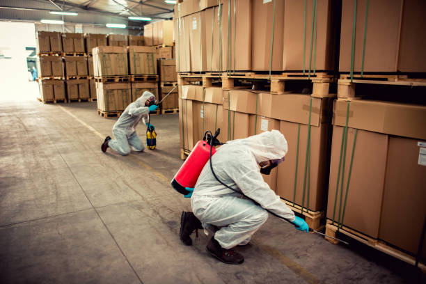Best Local Pest Control Services  in Halifax, VA