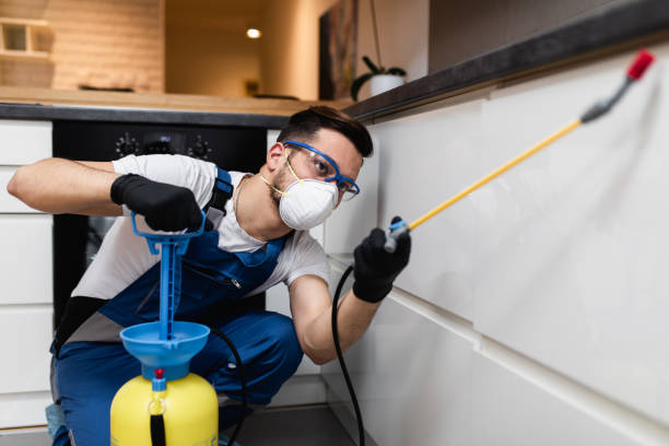 Best Flea Control Services  in Halifax, VA