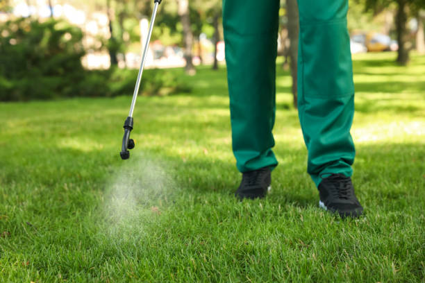 Best Insect Control  in Halifax, VA