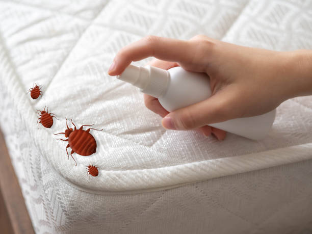 Best Commercial Pest Control Services  in Halifax, VA