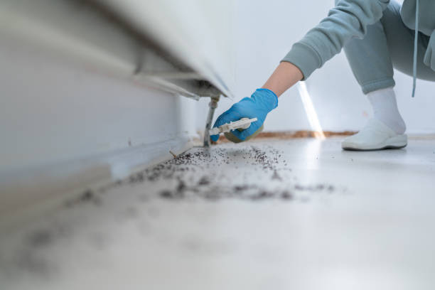 Best Bed Bug Extermination  in Halifax, VA